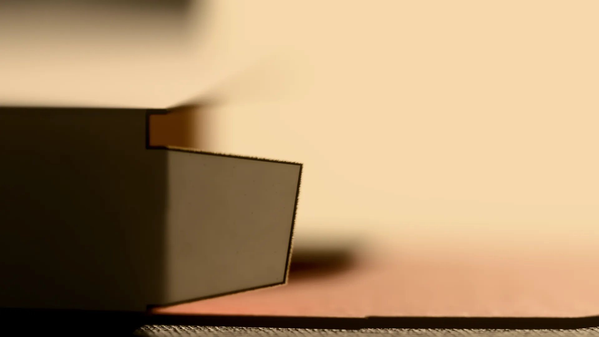 Silhouette of a dust flap in backlight with a frayed edge